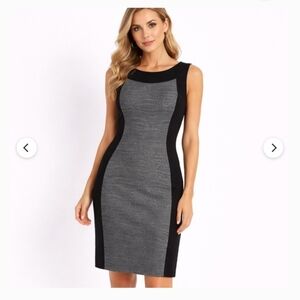 Calvin Klein Black and Light Gray Sheath Midi Dress